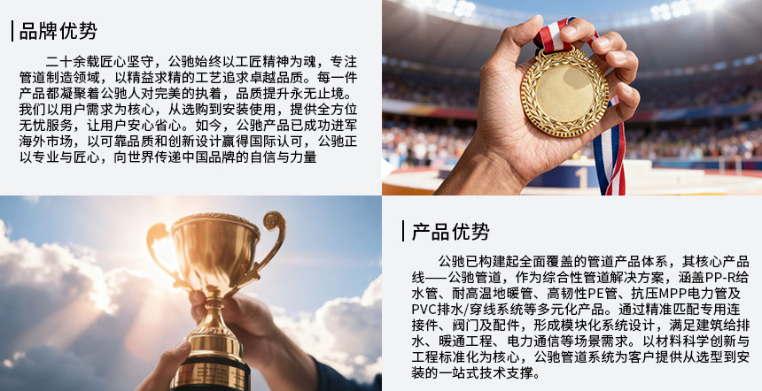 1769906939974444.jpg 3實力.jpg